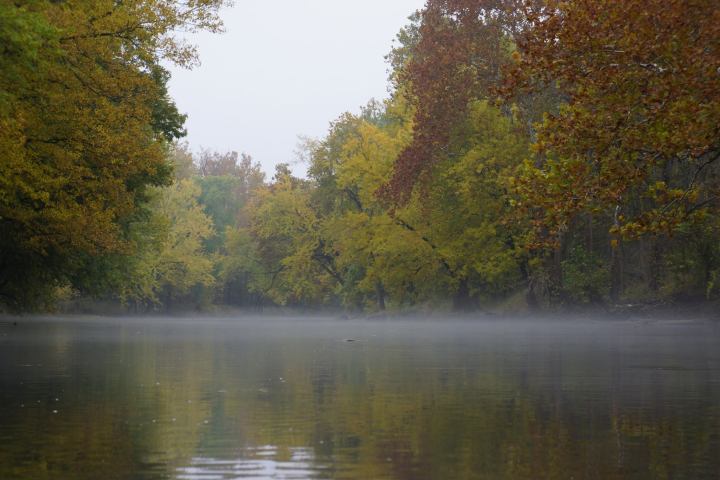 a body of water with trees in the background