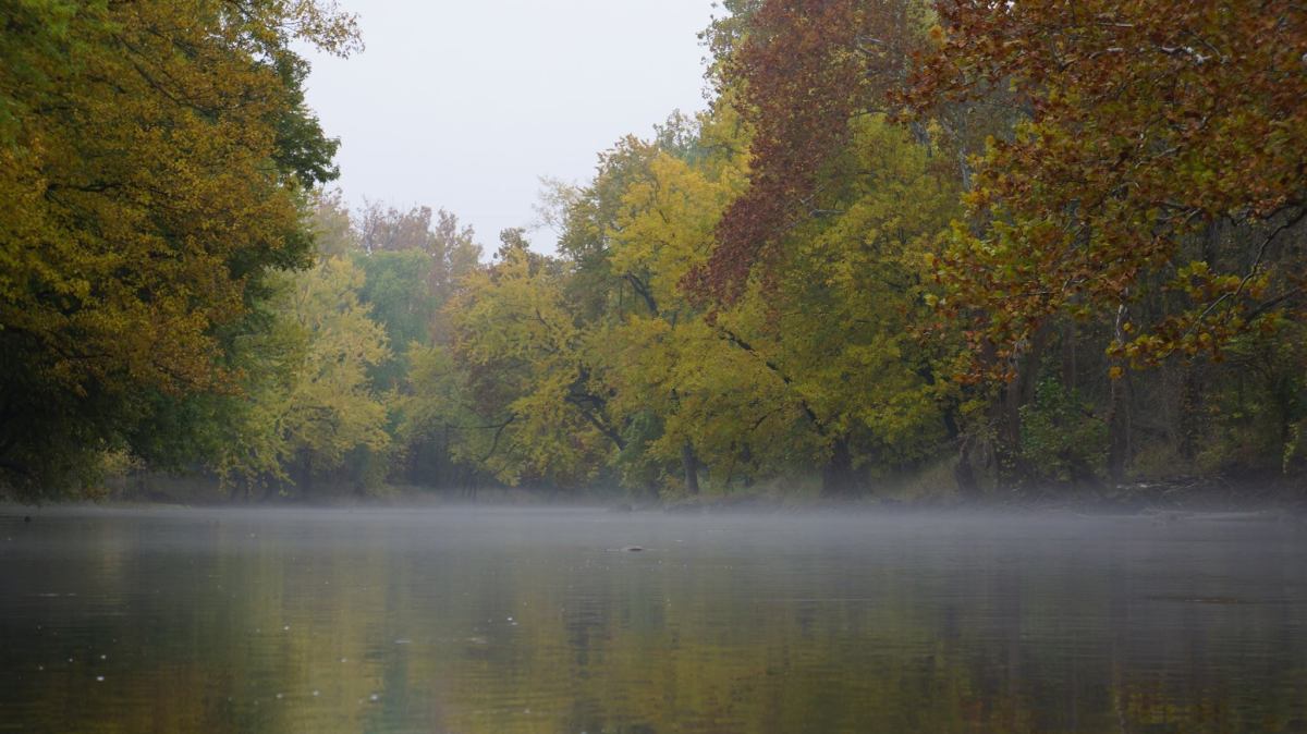 a body of water with trees in the background