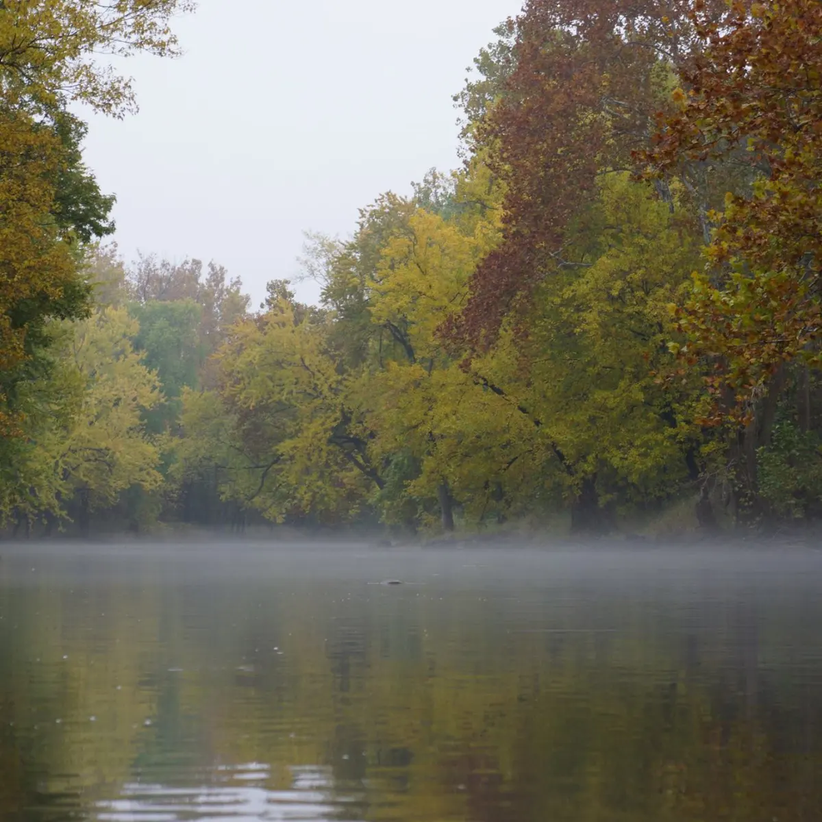 a body of water with trees in the background