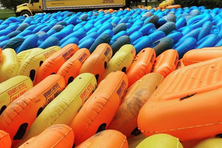 a group of colorful flowers