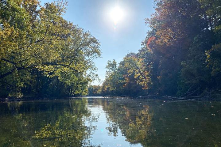 a body of water surrounded by trees