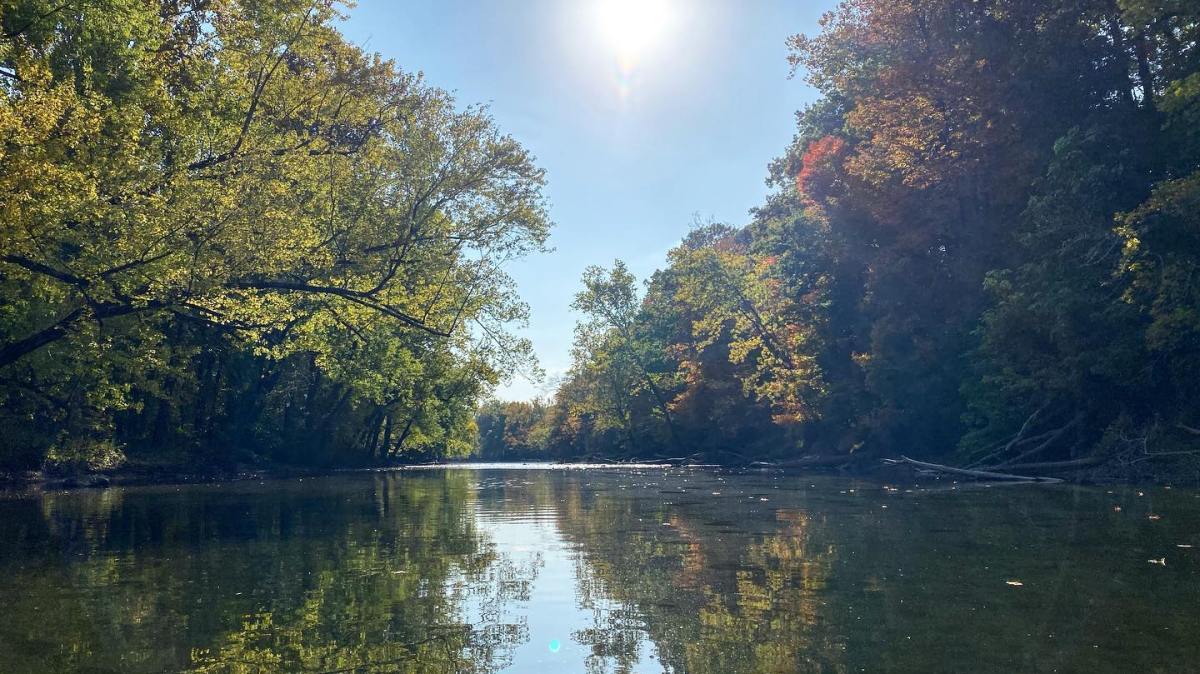 a body of water surrounded by trees