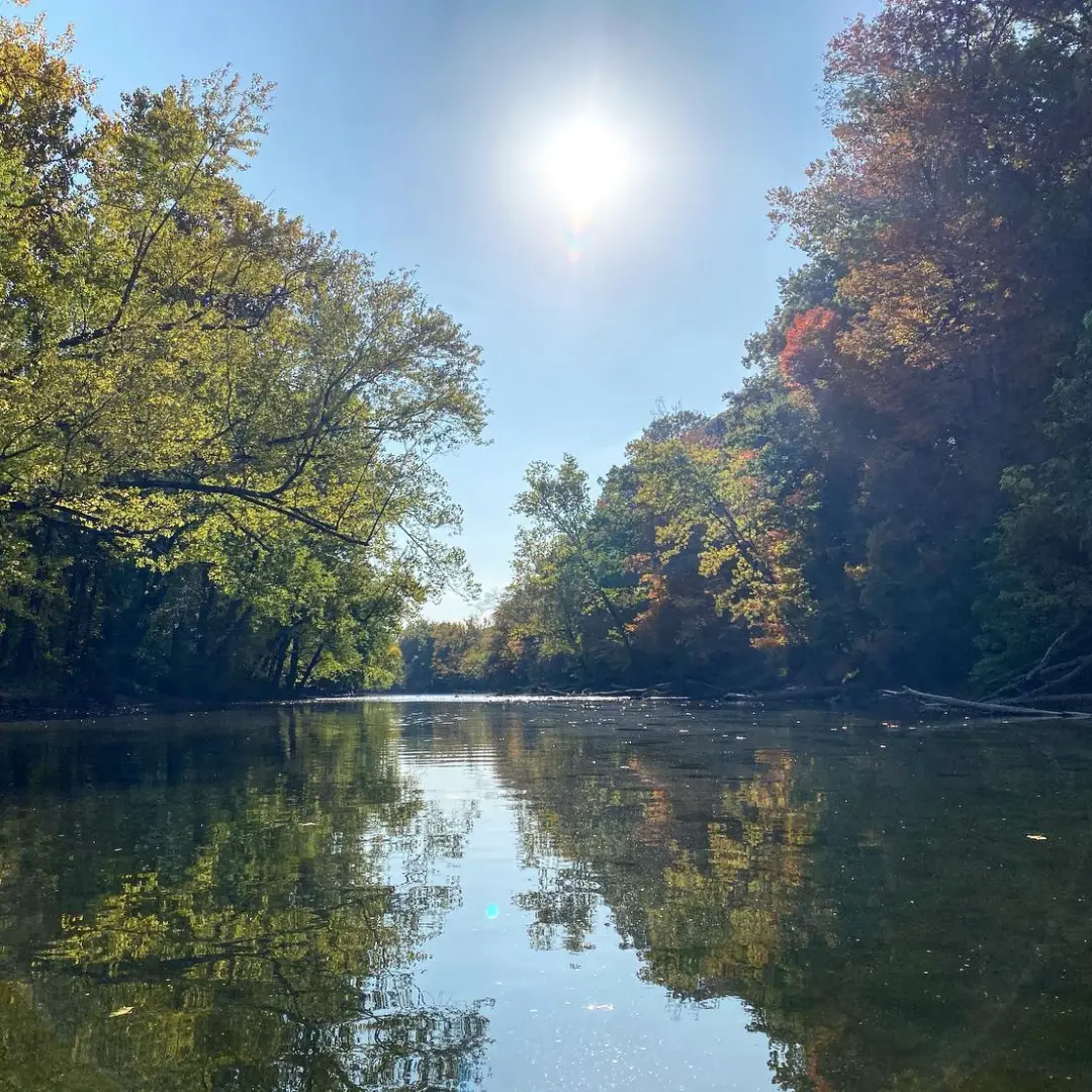 a body of water surrounded by trees