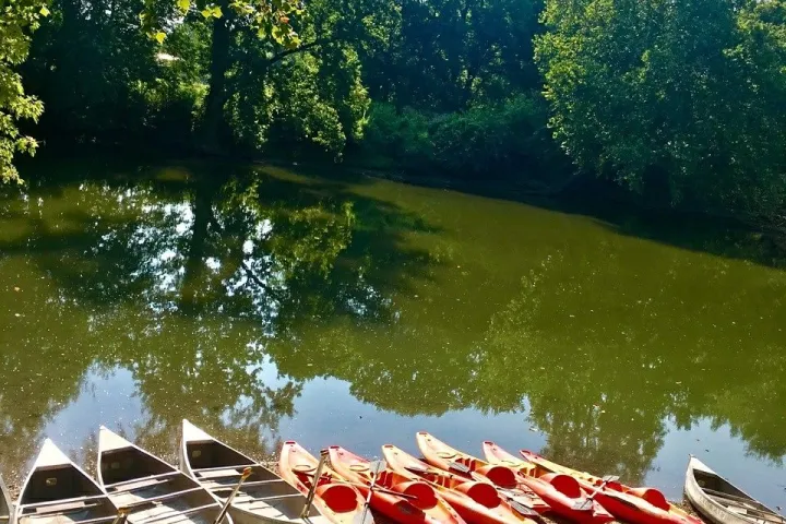 a row of parked motorcycles sitting next to a body of water