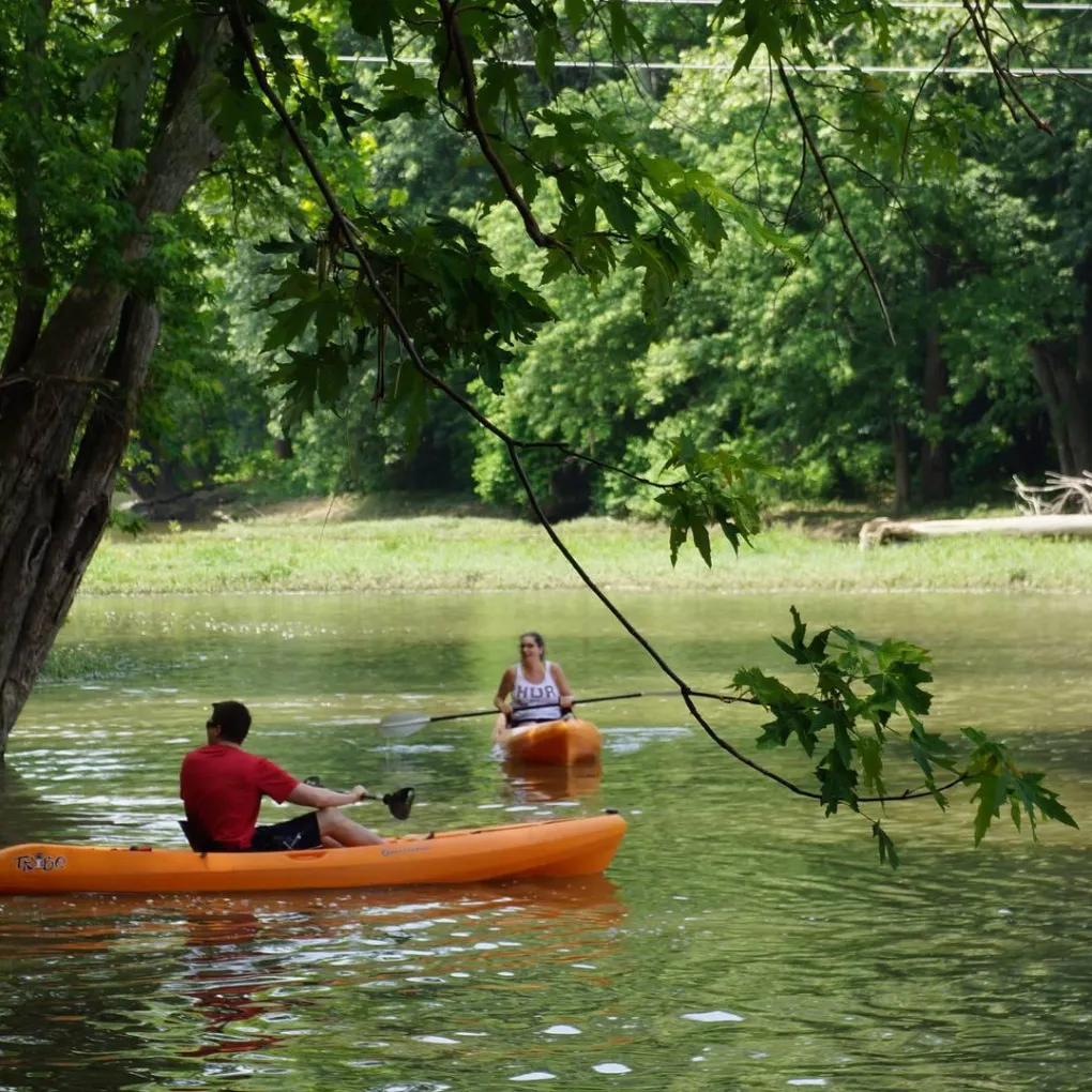 a man riding on the back of a boat in a body of water