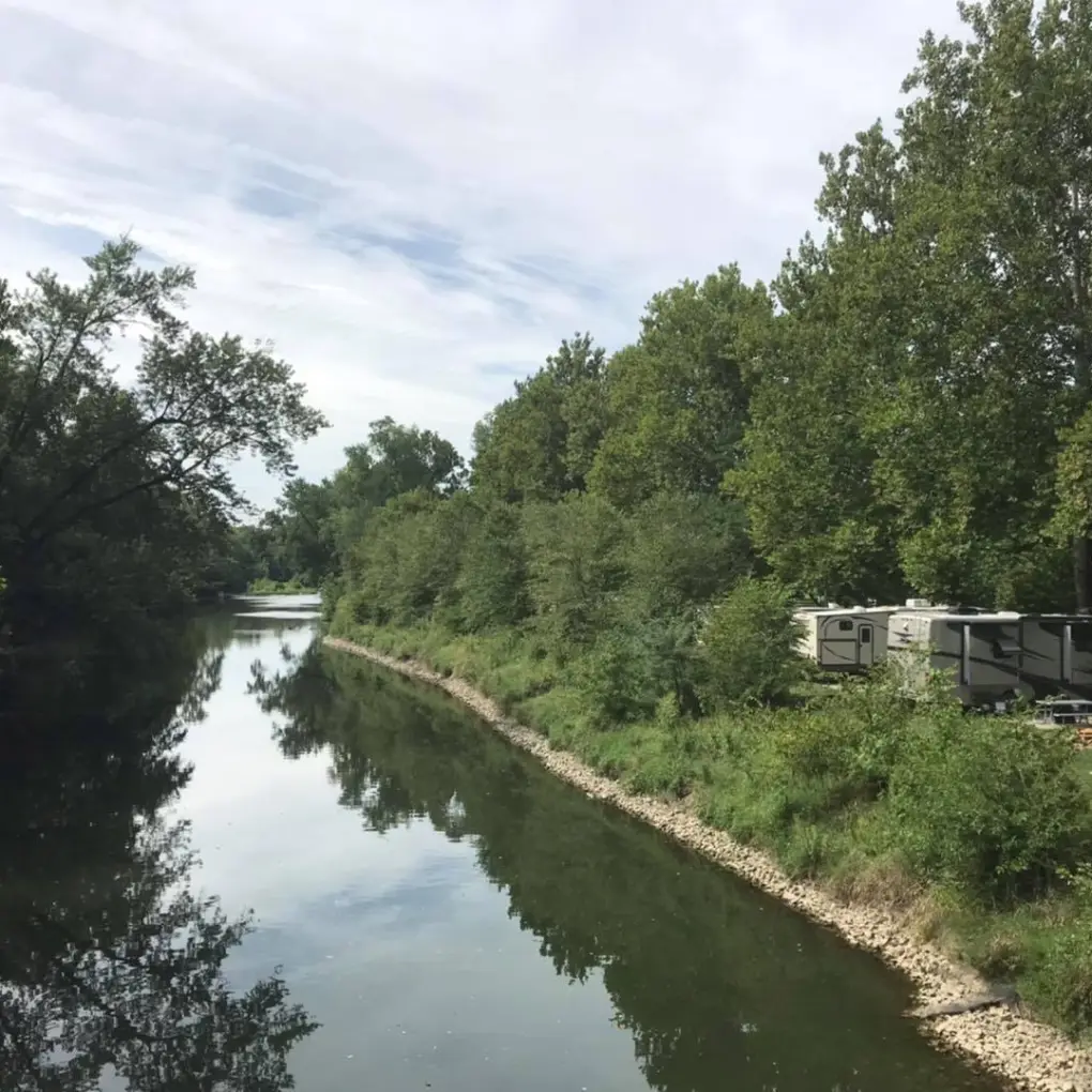 a path with trees on the side of a river